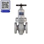 Van giảm áp thép RDD-3F YooYoun