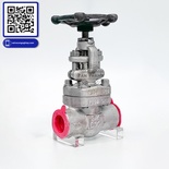 Van hơi inox Class 800 nối ren DR