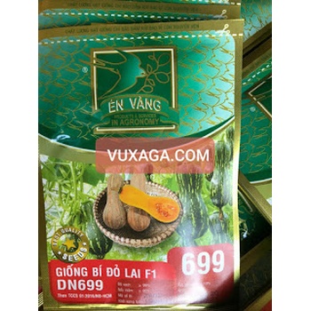 Hạt giống bí đỏ lai f1 DN699 én vàng 100 hạt (11g)