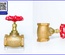 Van cầu đồng Bronze Brass Globe Valve