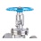 Van Cổng Inox PN16