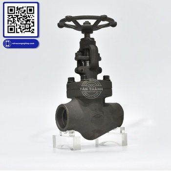 Van hơi thép A105 Class 800 nối hàn DR