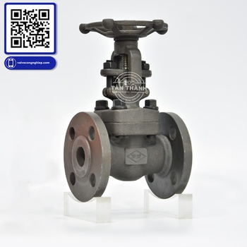 Van hơi thép A105 nối bích ANSI 150 DR