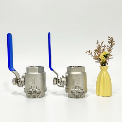 Van bi inox 304 2 thân nối ren DR