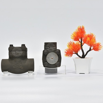 Van 1 chiều hơi thép A105 Class 800 nối hàn DR