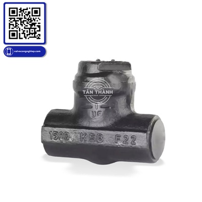Van 1 chiều KSB SICCA 800-4500 PCF