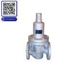 Van điều áp gang màng RGD-1F YooYoun