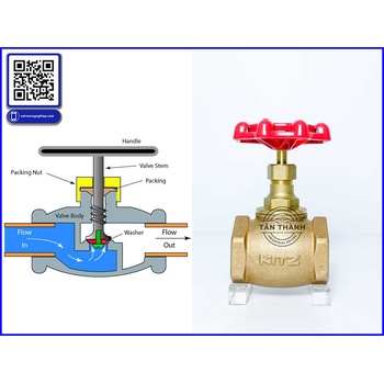 Van cầu đồng Bronze Brass Globe Valve