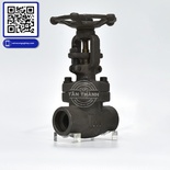 Van hơi thép A105 Class 800 nối ren DR