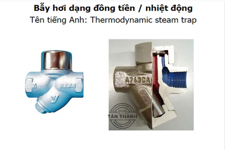Bẫy hơi đồng tiền Thermodynamic Steam Trap