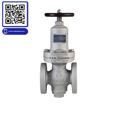 Van giảm áp thép RDD-3F YooYoun