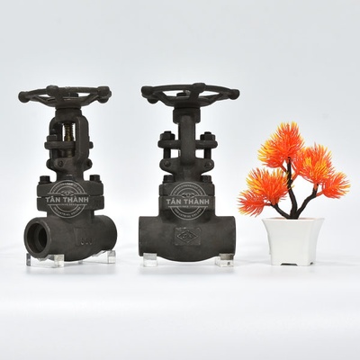 Van cửa thép A105 Class 800 nối hàn DR