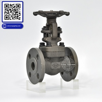 Van cửa thép A105 nối bích ANSI 150 DR