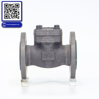 Van 1 chiều thép A105 nối bích JIS20K DR