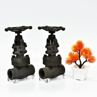 Van hơi thép A105 Class 800 nối ren DR