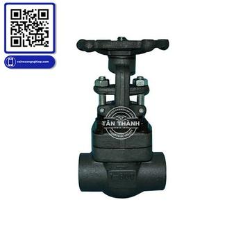 Van hơi thép A105 nối ren NPT Joeun