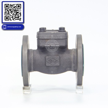 Van 1 chiều thép A105 nối bích JIS20K DR