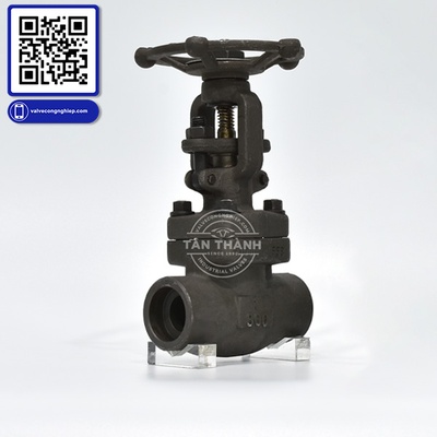 Van cửa thép A105 Class 800 nối hàn DR