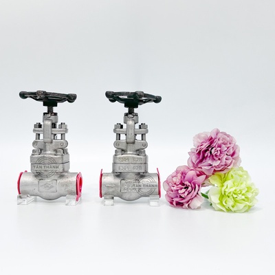 Van hơi inox Class 800 nối hàn DR