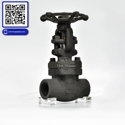 Van cửa thép A105 Class 800 nối ren DR