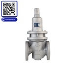 Van giảm áp gang xy lanh RDC-1F YooYoun