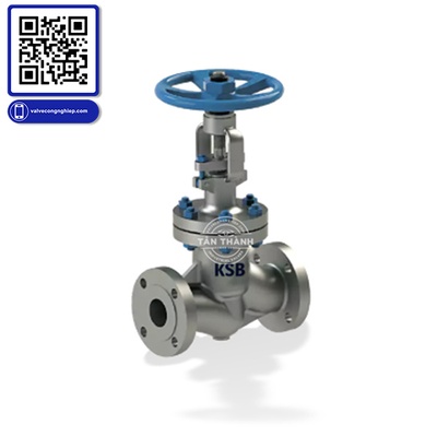 Van cầu KSB ECOLINE BSGL-S