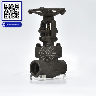 Van hơi thép A105 Class 800 nối ren DR