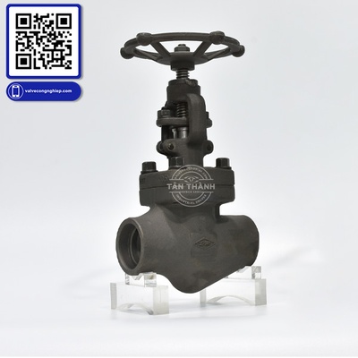 Van hơi thép A105 Class 800 nối hàn DR