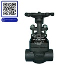 Van cửa thép A105 nối hàn SW Joeun