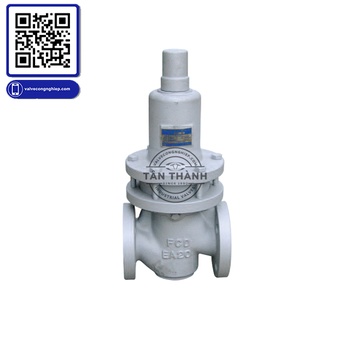 Van điều áp gang xy lanh RGC-1F YooYoun