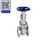 Van cửa thép WCB nối bích ANSI Class 150 Joeun