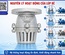 Lúp Bê Rọ Bơm (Foot Valve) Là Gì? Cấu Tạo, Nguyên Lý Hoạt Động Và Cách Chọn Mua Chuẩn Kỹ Thuật
