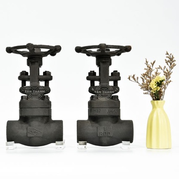 Van cửa thép A105 Class 800 nối ren DR