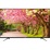 Android Tivi Panasonic 4K 43 inch 43FX550V