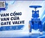 Kinh nghiệm chọn van cổng (Gate Valve) giá tốt, uy tín tại TP.HCM