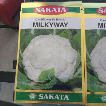 Hạt giống súp lơ trắng MILKYWAY f1 SAKATA 10g